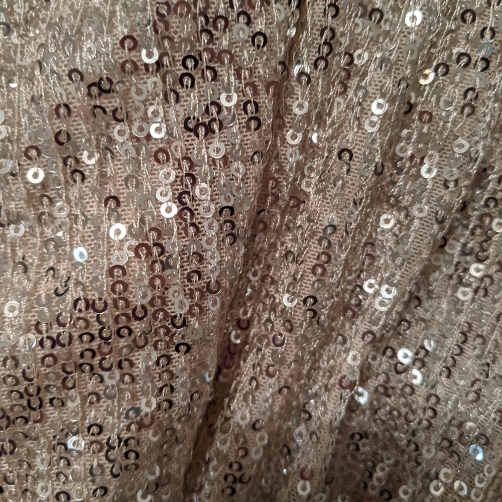 Audrey 3+1 Sequin Wrap Dress